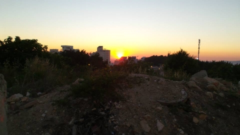 drim__7610.jpg
